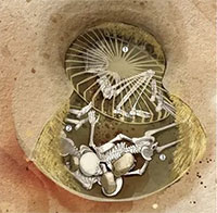 Phụ nữ thời đồ đá ở châu Âu bị trói và chôn sống trong các nghi lễ hiến tế