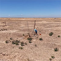 Nắng nóng chưa từng có sẽ bao trùm Đông Nam Á