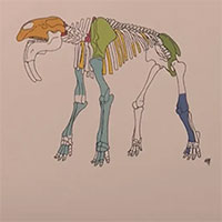 Phát hiện mẫu xương loài voi tiền sử ở Đức