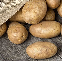 Vì sao khoai tây sinh ra khí độc khi bị thối rữa?