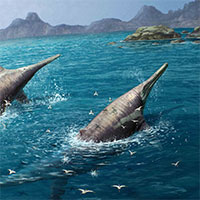 Phát hiện hóa thạch bò sát biển lớn nhất, dài tới 25m