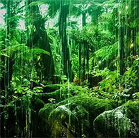 Tại sao vùng xích đạo nhận nhiều nắng nhất nhưng không phải là nơi nóng nhất?