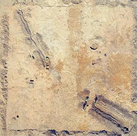 Đào đường, phát hiện 