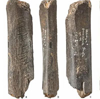 Sốc với tác phẩm nghệ thuật 130.000 năm của loài người khác