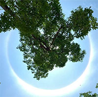 Quầng Mặt trời xuất hiện ở một số tỉnh: Có thể báo hiệu nắng nóng kéo dài