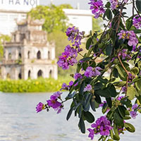 Vì sao cuối tháng 5, thời tiết miền Bắc vẫn mát mẻ như cuối Xuân?