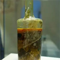 Có nên mở chai rượu cổ nhất thế giới?