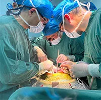 Lần đầu ghép thành công gan lợn cho người sống