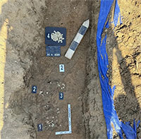 Đang đi dạo, người phụ nữ bất ngờ tìm thấy 