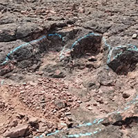 Phát hiện dấu chân khủng long hóa thạch có niên đại khoảng 120 triệu năm