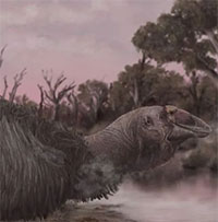 Phát hiện hộp sọ của 