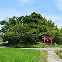 Khám phá ngọn núi thấp nhất Nhật Bản