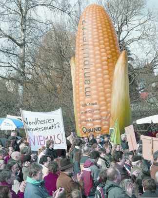 Thực phẩm biến đổi gien có thật sự an toàn?