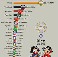 Những quốc gia xuất khẩu gạo nhiều nhất thế giới niên vụ 2023-2024