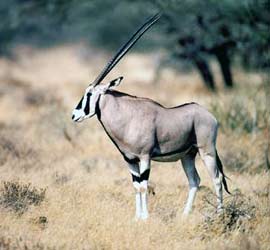 Hợp tác Việt Nam - Hà Lan về đa dạng sinh học