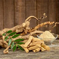 Việt Nam có một loại cây phơi khô là “dược liệu vàng” giúp bổ gan, đào thải acid uric hiệu quả