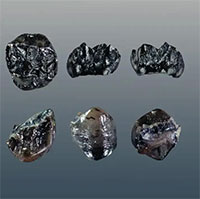 Đức phát hiện thành viên chưa từng biết của họ Người