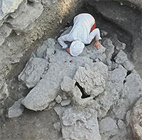 Choáng váng với bữa ăn 