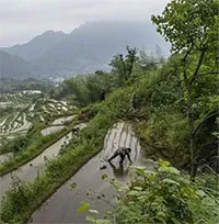 "Khí cười" N2O làm tăng thêm nỗi lo về biến đổi khí hậu