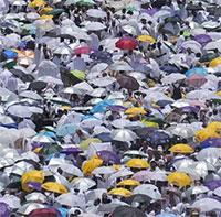 Nắng nóng thiêu đốt Bắc bán cầu, cháy rừng và tử vong hàng loạt