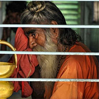 Trái đất có trở nên quá nóng để con người tồn tại?