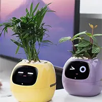Cây cỏ hóa ra có trí thông minh hơn chúng ta tưởng