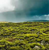 Dòng nham thạch có một không hai của Iceland