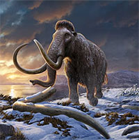 Điều gì làm loài voi ma mút biến mất trên Trái đất?