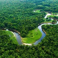 Nơi có nhiều động vật nhất hành tinh