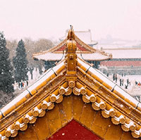 Tại sao trên nóc Tử Cấm Thành không bao giờ có phân chim?