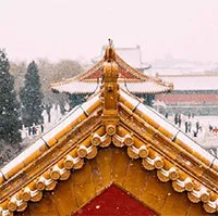 Tại sao trên nóc Tử Cấm Thành không bao giờ có phân chim?