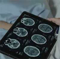 Các nhà khoa học tìm ra cách đánh lừa khiến lừa tế bào ung thư “tự sát”