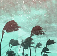 Nắng, mưa, nóng lạnh thất thường: Vì sao thời tiết ngày càng trở nên kỳ lạ?