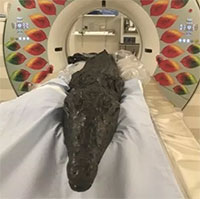 Bí ẩn bên trong xác ướp “quái vật Ai Cập” 3.000 tuổi