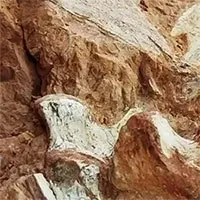Ngập lụt lịch sử ở Brazil làm phát lộ hóa thạch khủng long hơn 200 triệu năm