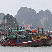 Cơn bão số 2 (Prapiroon) sẽ đổ bộ Quảng Ninh - Hải Phòng, gây mưa lớn trên diện rộng