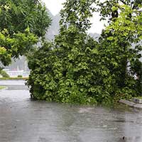 Những thiệt hại ban đầu khi bão số 2 đổ bộ Quảng Ninh-Hải Phòng