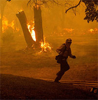 Thế giới trải qua ngày nóng nhất lịch sử