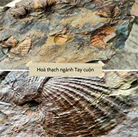 Vietnam gains another UNESCO Global Geopark