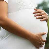 Chất xám trong não phụ nữ bị teo lại khi mang thai