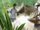 Càng bị côn trùng đốt, hệ miễn dịch càng "khoẻ"