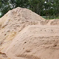 Top 4 kỹ năng thoát hiểm khi bị cát vùi lấp