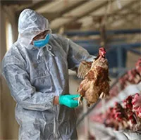 Trung Quốc phát hiện virus cúm mới, có khả năng trở thành đại dịch