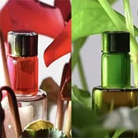 Đại học ở Trung Quốc phát triển thành công vật liệu tàng hình giống tắc kè hoa