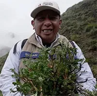 Sáng kiến trồng hàng triệu "cây mây" trên dãy Andes