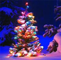 Ý nghĩa lễ thắp đèn cây thông Noel