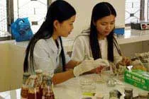 11 đề tài vào chung kết Phát minh xanh lần 6