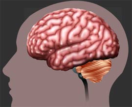 Trục trặc trí nhớ tạo ra ký ức về tiền kiếp