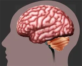 Trục trặc trí nhớ tạo ra ký ức về tiền kiếp