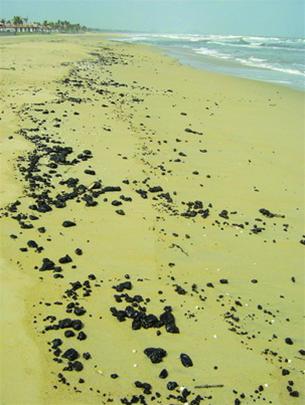 Tiếp tục giải mã vụ tràn dầu